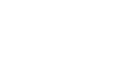 treasure data