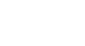 Bridg